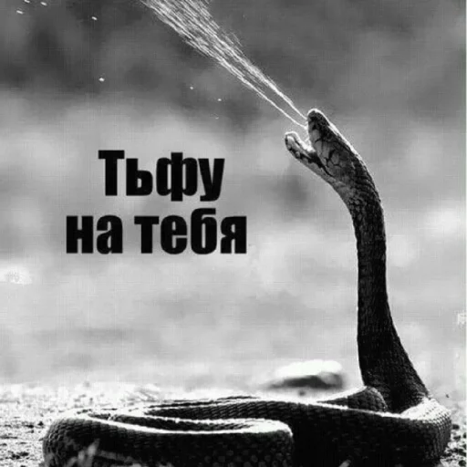 kur_42BINg