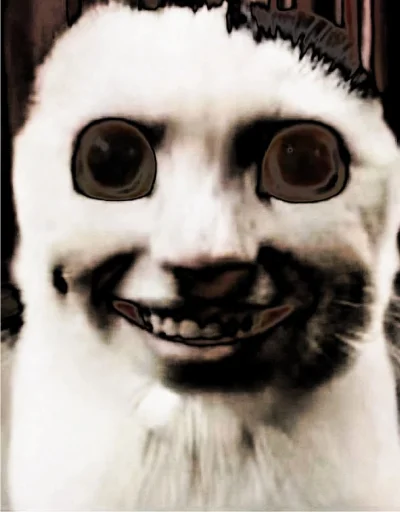 kuropotik kuropotik -