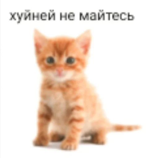 утик утик -
