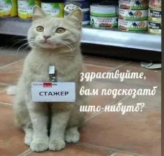 Стикер утик - 0