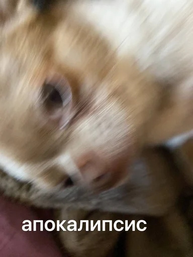 лакуша который кукуша :: @fStikBot лакуша который кукуша :: @fStikBot -