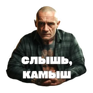 Sticker Леха Беспалый - 8