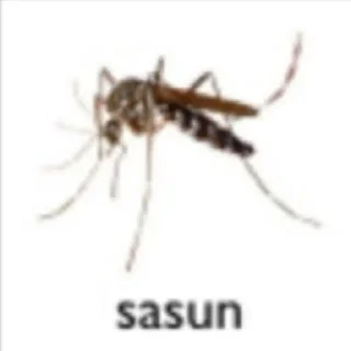 Стикер sasun - 0