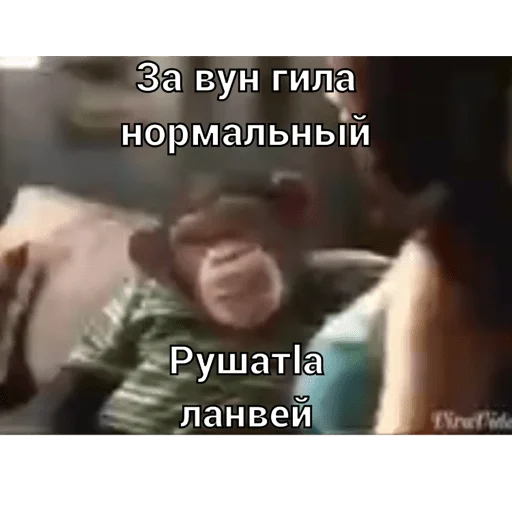 Mems by. @niggovskiy Mems by. @niggovskiy -