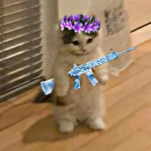 kiшka kiшka -