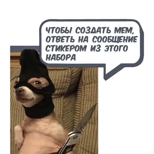 BNM Memes @memecyteBot BNM Memes @memecyteBot -