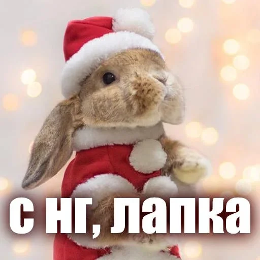 ЖЮ 🧡 Видео - НГ | @Lifeyt ЖЮ 🧡 Видео - НГ | @Lifeyt -