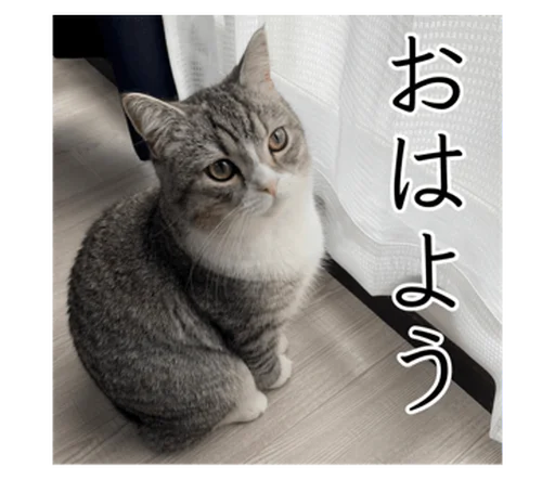 もち様スタンプ もち様スタンプ -