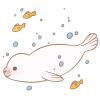 Little white seal Little white seal -