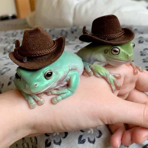 зелёные друзья зелёные друзья -