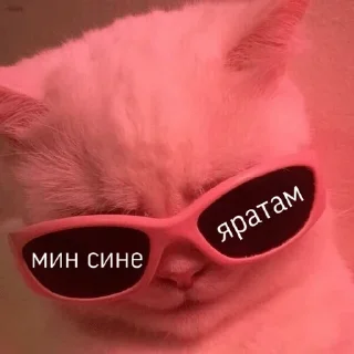 Стикер Lovushka Jokera - 10 Стикер Lovushka Jokera - 10