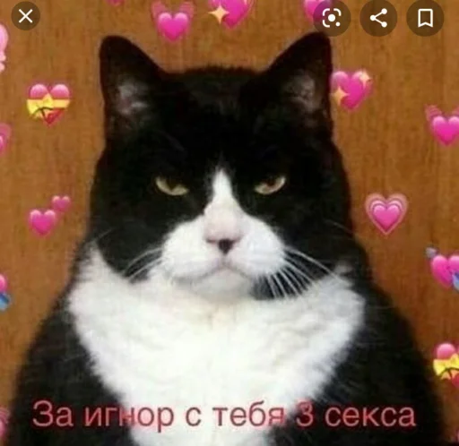 Льоша фігні не порадить Льоша фігні не порадить -