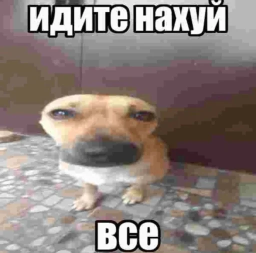 Стикер щзх - 8