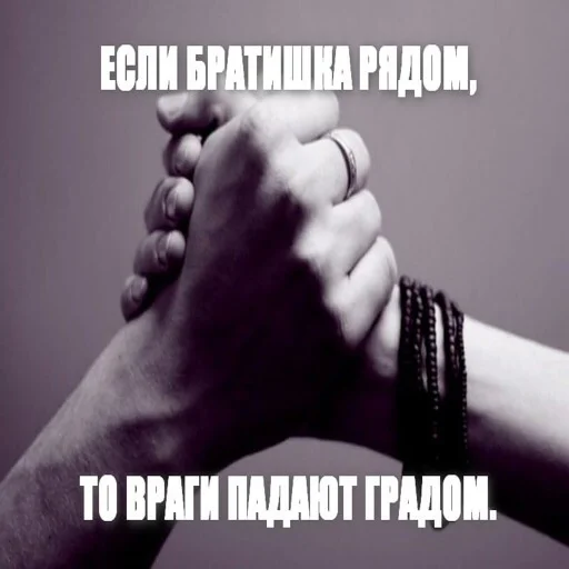 снюс снюс -