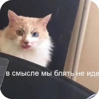 Sticker лол кек чебурек - 0