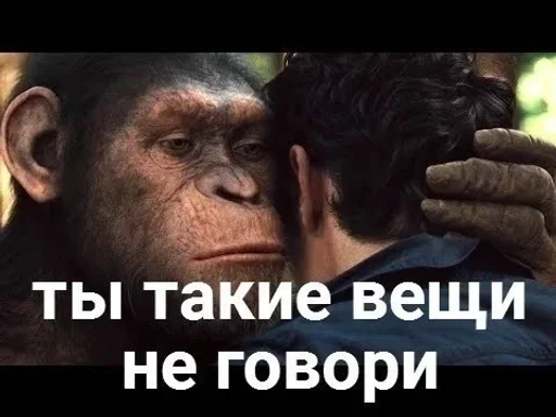 lol lol -