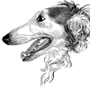longnose style longnose style -
