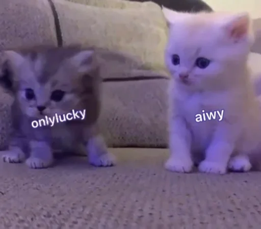 lovelucky
