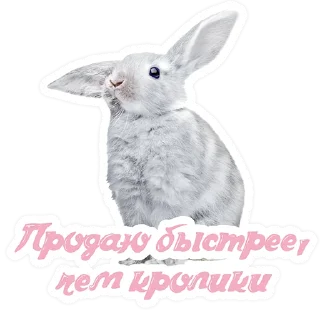 Стикер Контур.Любовь - 6