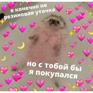 Sticker Милые пикчи ❤️ - 6