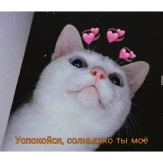 Sticker Милые пикчи ❤️ - 11