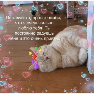 Sticker Милые пикчи ❤️ - 5
