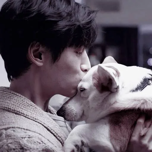 « luo yunxi » :: @ryohomee « luo yunxi » :: @ryohomee -
