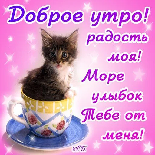 @pozdravlenia0 ⬅️ Открытки тут @pozdravlenia0 ⬅️ Открытки тут -