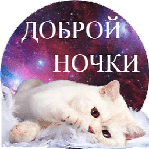 ℐ®inª ℐ®inª -