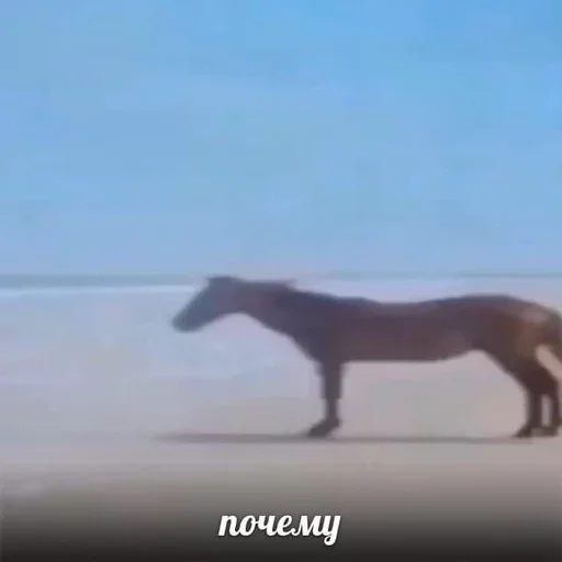 Больше стиков тут: @stikery4 Больше стиков тут: @stikery4 -