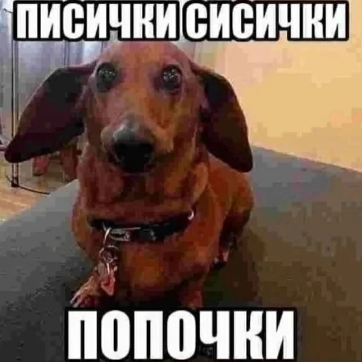 эстетика клинкор эстетика клинкор -