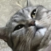 марсик марсик -
