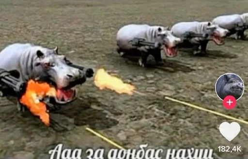 машонка :: @fStikBot машонка :: @fStikBot -