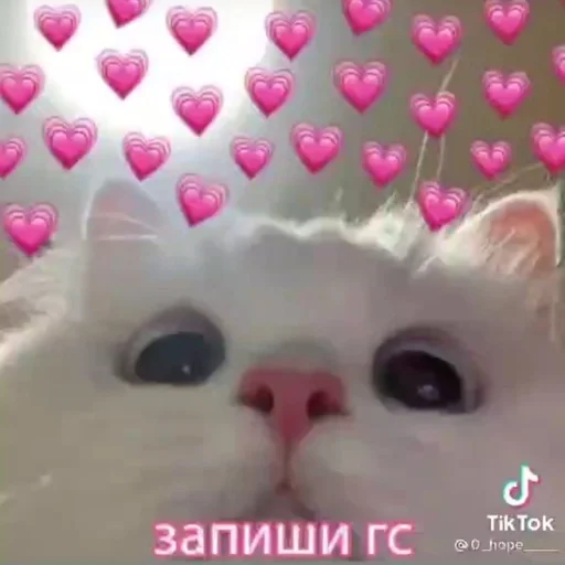 пикчи машика<3 :: @fStikBot пикчи машика<3 :: @fStikBot -