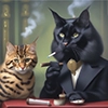 meow meow -