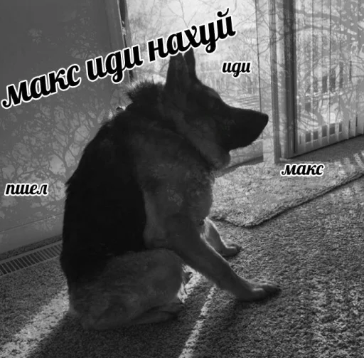 Макс, иди нахуй Макс, иди нахуй -