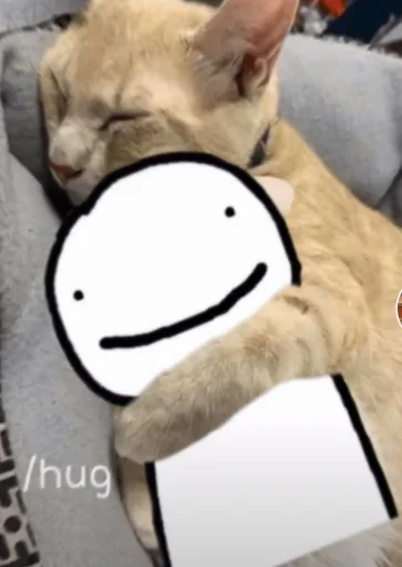 @bringmetheocean mcyt reaction pic swag @bringmetheocean mcyt reaction pic swag -