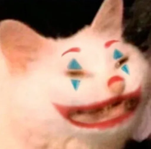 mammal mammal animal cat