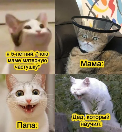 Мемы :: @fStikBot Мемы :: @fStikBot -