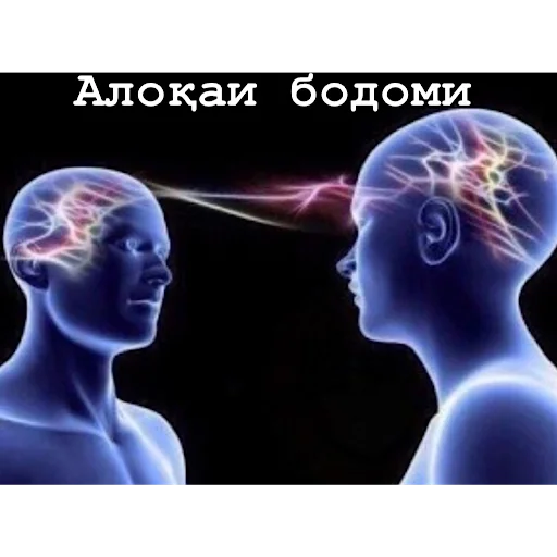 memes in tajik memes in tajik -