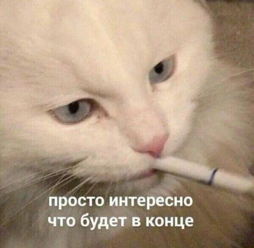 ;;мемы ;;мемы -