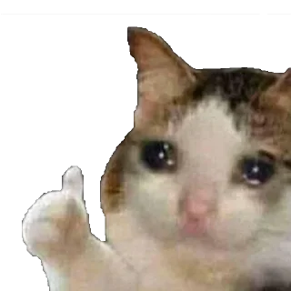 Memes semeM 3 by @fStikBot Memes semeM 3 by @fStikBot - animal