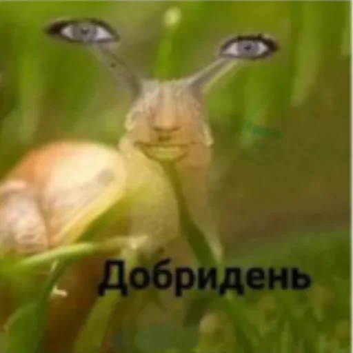 Стикер Ukraine memes - 0