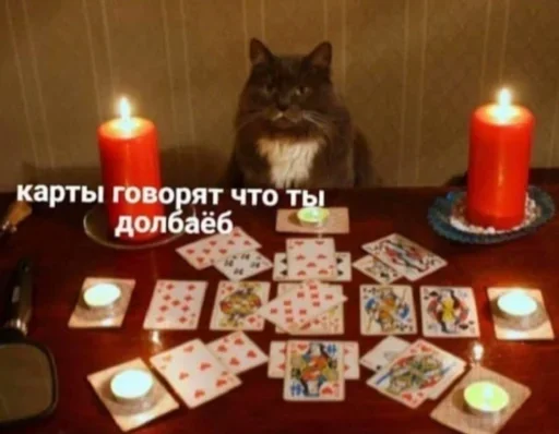 свеча свеча комнатный кошка