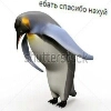 мемасы мемасы -