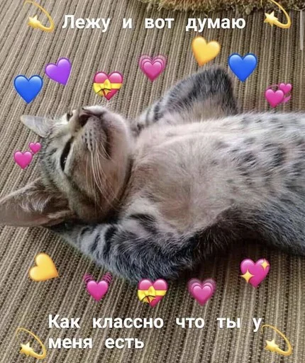 мемы с котами мемы с котами -