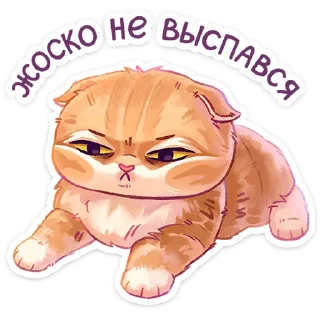 Sticker Мявс :: @stickroom - 0