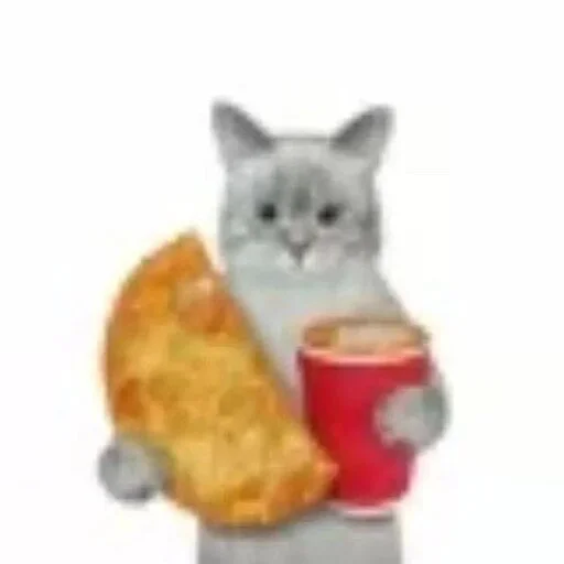 miau miau -