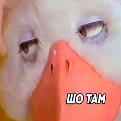 micro_lol 2 micro_lol 2 -