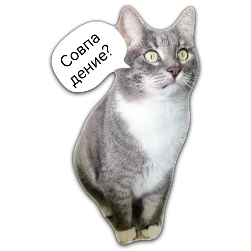 Больше стикеров 👉🏻 @stickertg4 Больше стикеров 👉🏻 @stickertg4 -